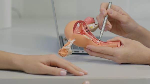 Complex gynaecology
