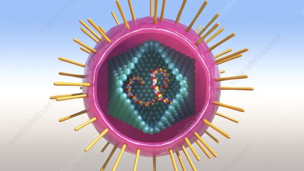 Why little known STI should be eliminated